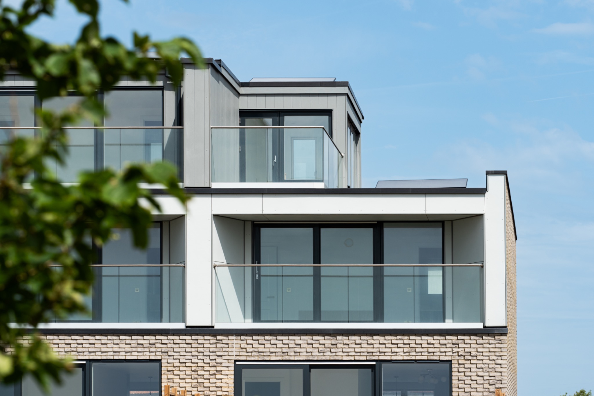 Contemporary residential elevation framed by planting