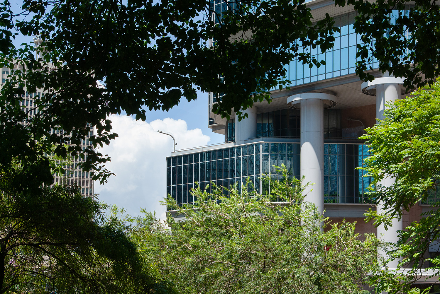 Hong Kong architecture partially screened by dense mature trees