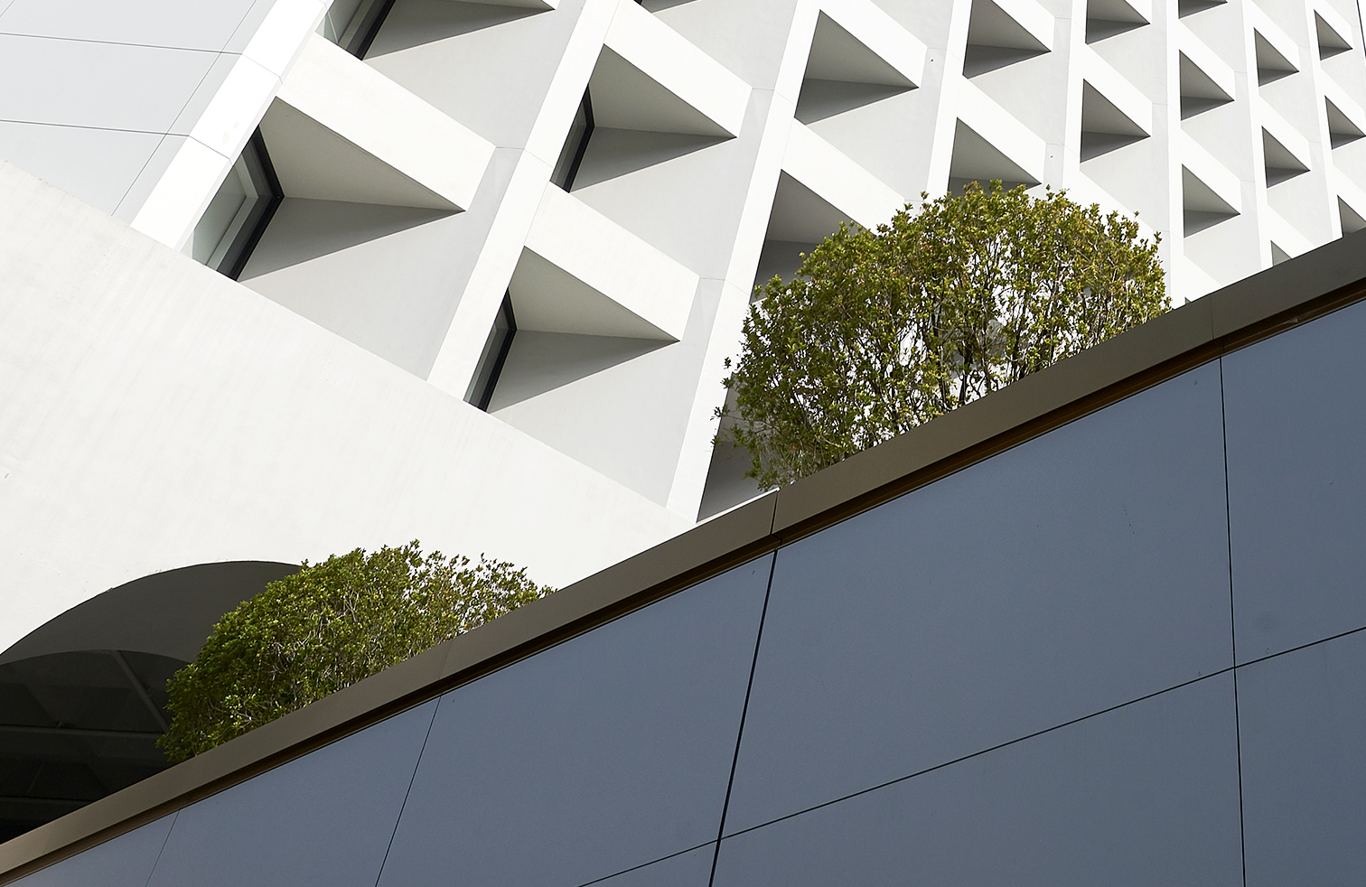 Detail of the former Murray Building’s recessed concrete window grid