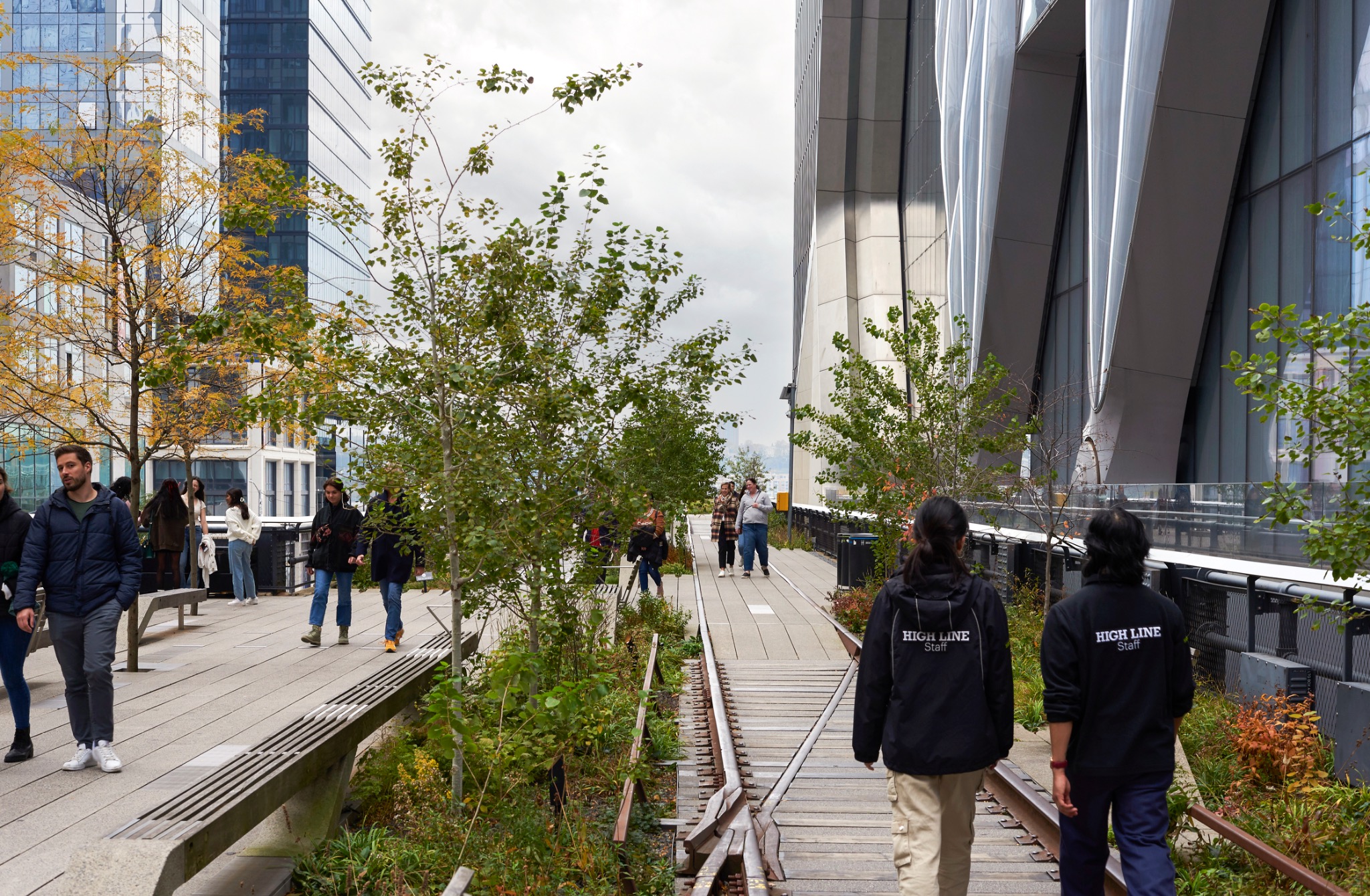 People walking along the planted High Line beside contemporary architecture