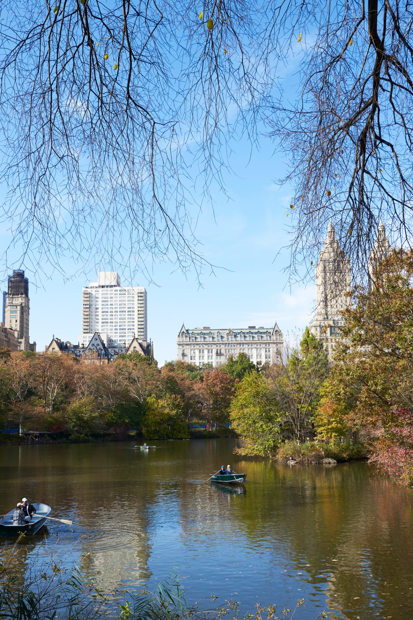 Vertical view across a Central Park lake towards surrounding buildings